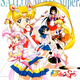 Illustration for article titled A Filler-Reduced Viewing Guide to iSailor Moon/i, Season 4